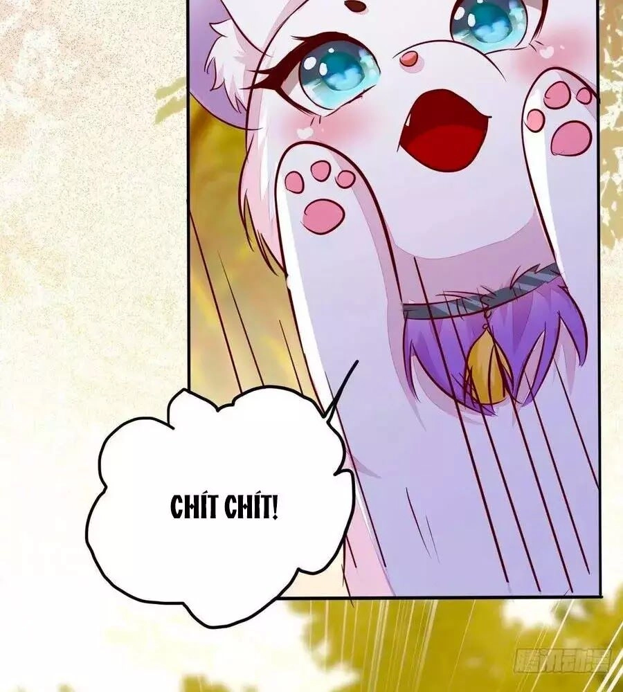 Thần Y Khí Nữ: Ngự Thú Cuồng Phi Của Quỷ Đế Chapter 73 - 84