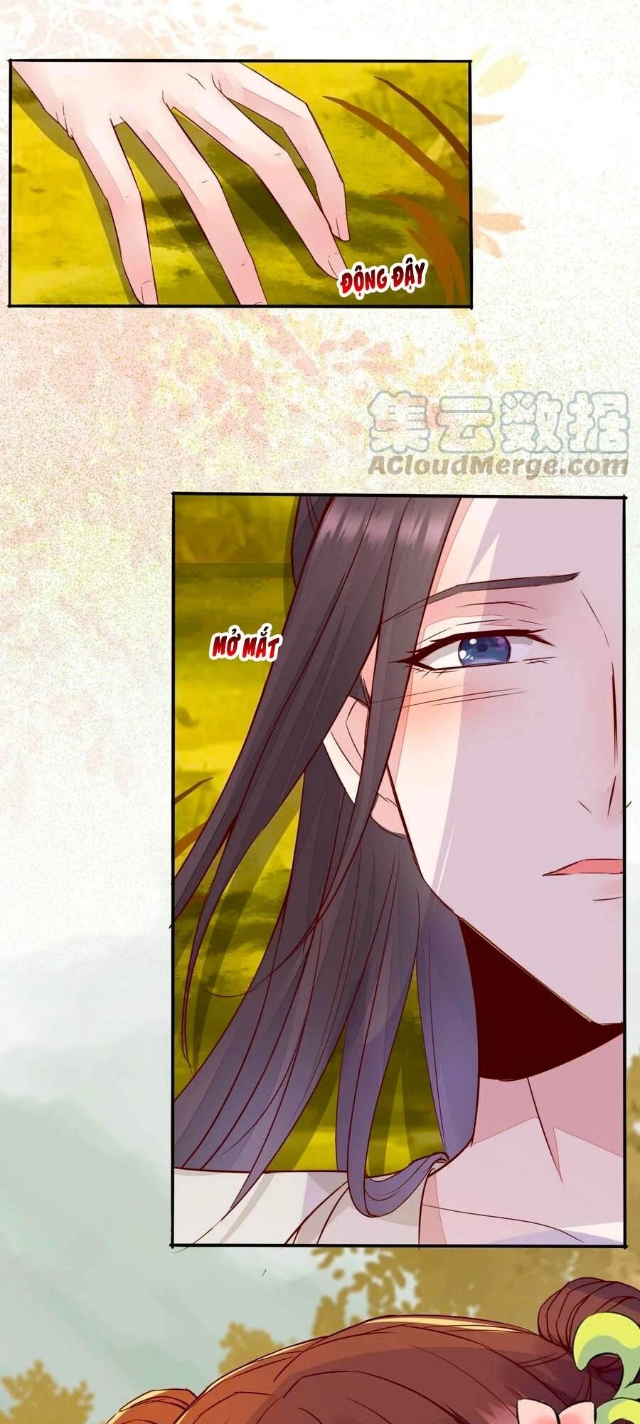 Thần Y Khí Nữ: Ngự Thú Cuồng Phi Của Quỷ Đế Chapter 74 - 23