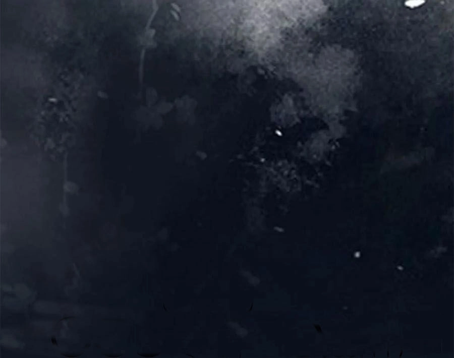 Thần Y Khí Nữ: Ngự Thú Cuồng Phi Của Quỷ Đế Chapter 90 - 8