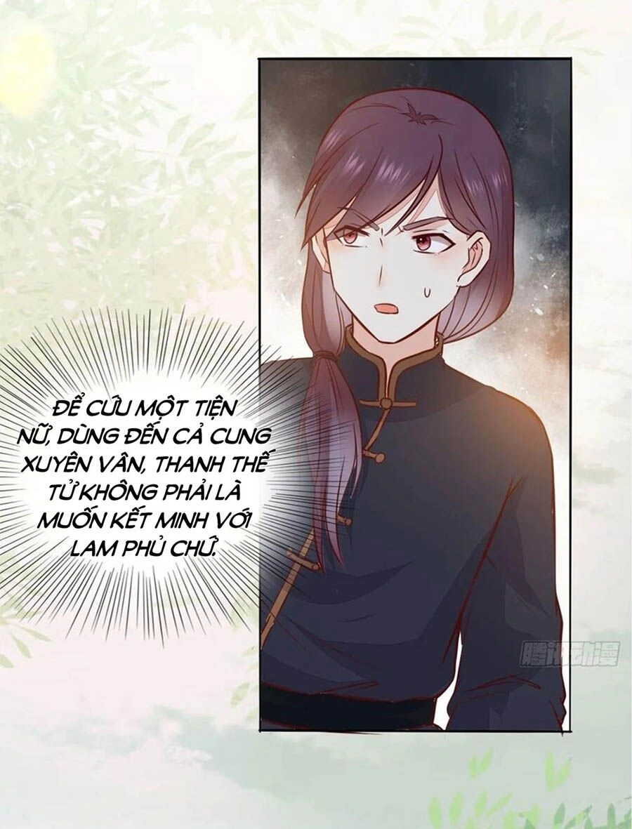 Thần Y Khí Nữ: Ngự Thú Cuồng Phi Của Quỷ Đế Chapter 97 - 19