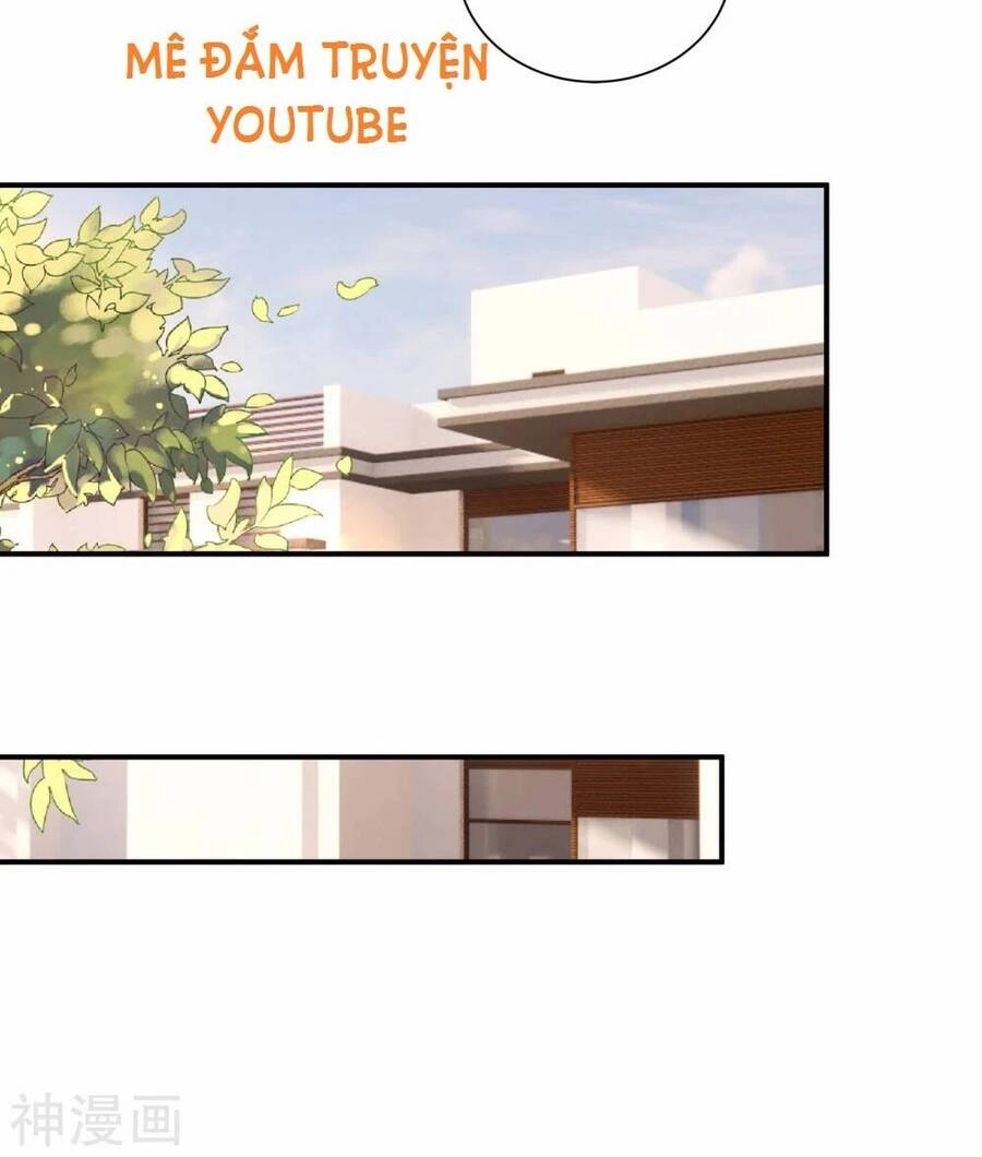 Nhập Cốt Noãn Hôn Chapter 377 - 17