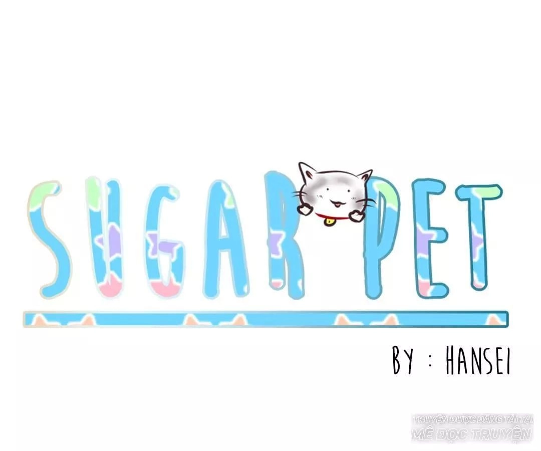 Sugar Pet Chapter 9 - 1