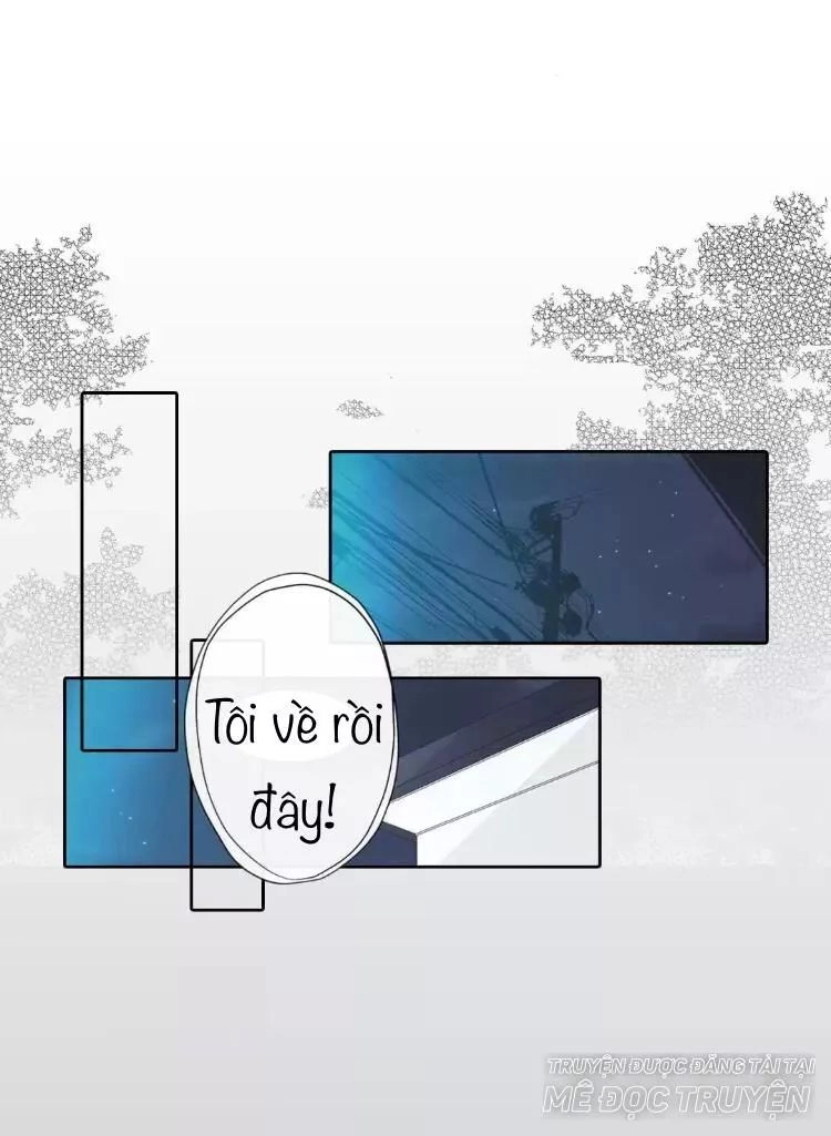 Sugar Pet Chapter 13 - 1