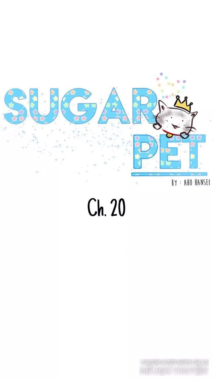 Sugar Pet Chapter 20 - 1