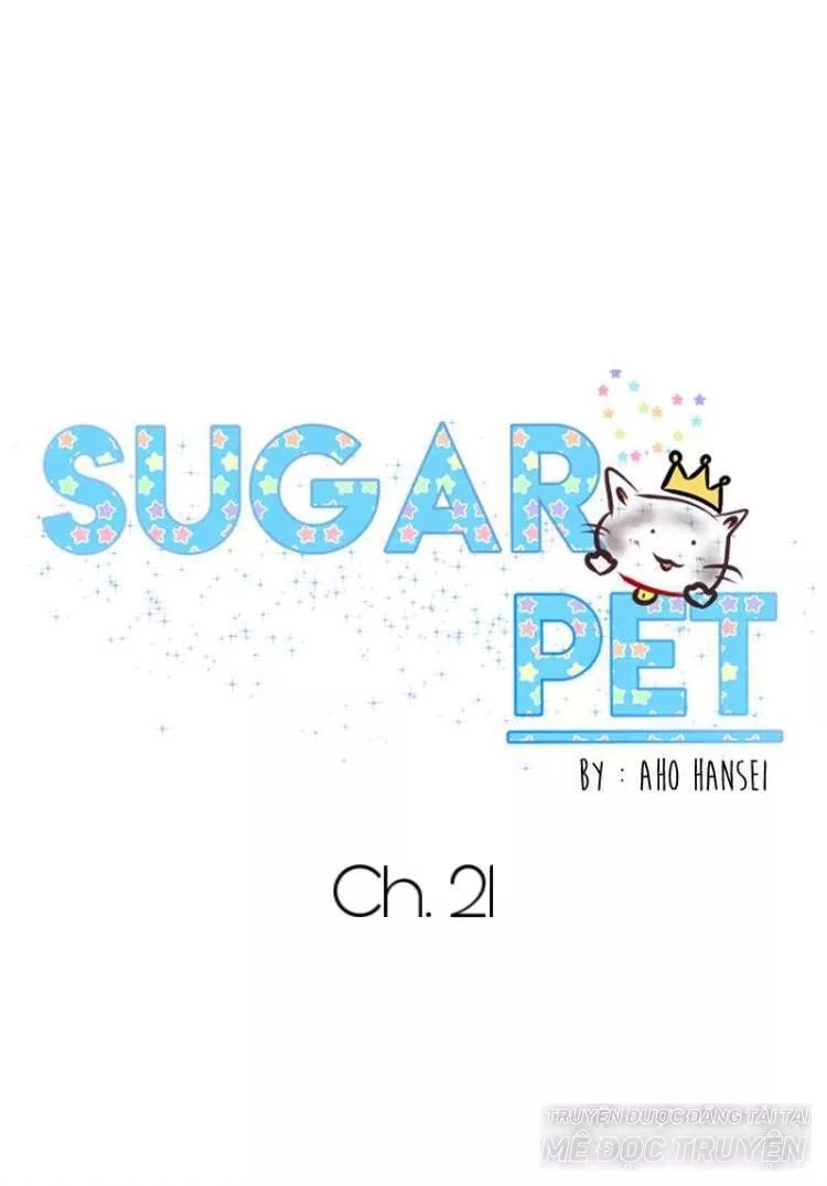 Sugar Pet Chapter 21 - 26