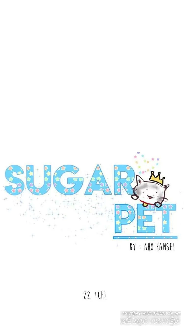 Sugar Pet Chapter 22 - 26