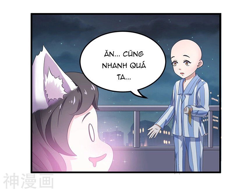 Quy Luật Năm Bản Mệnh Của Hồ Ly Chapter 2 - 6