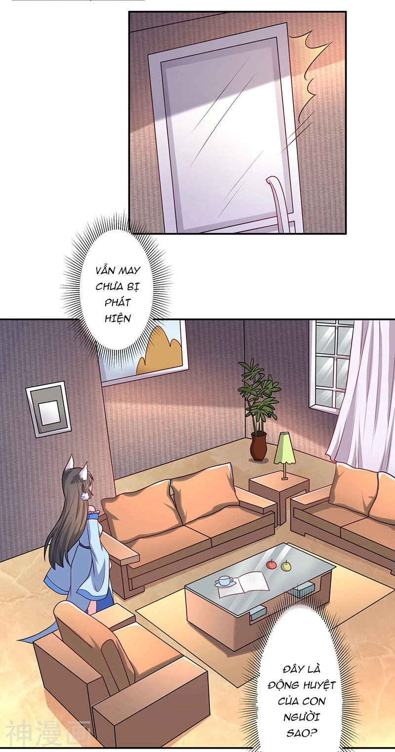 Quy Luật Năm Bản Mệnh Của Hồ Ly Chapter 6 - 16