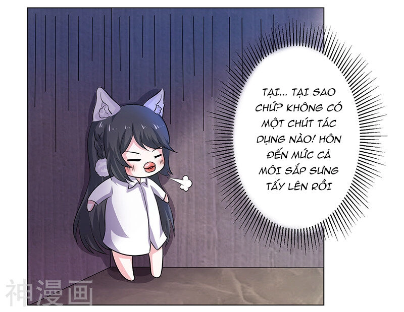 Quy Luật Năm Bản Mệnh Của Hồ Ly Chapter 11 - 5