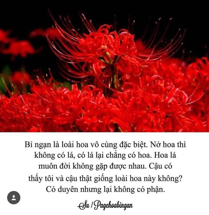 Dị Giới Thất Cách Chapter 19 - 28