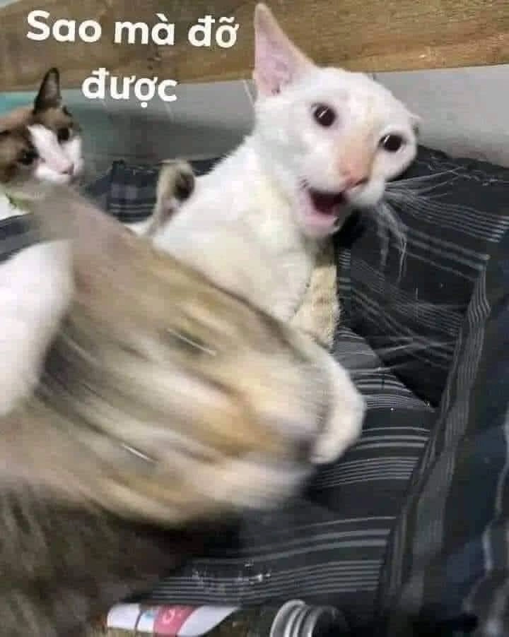 Dị Giới Thất Cách Chapter 23 - 2