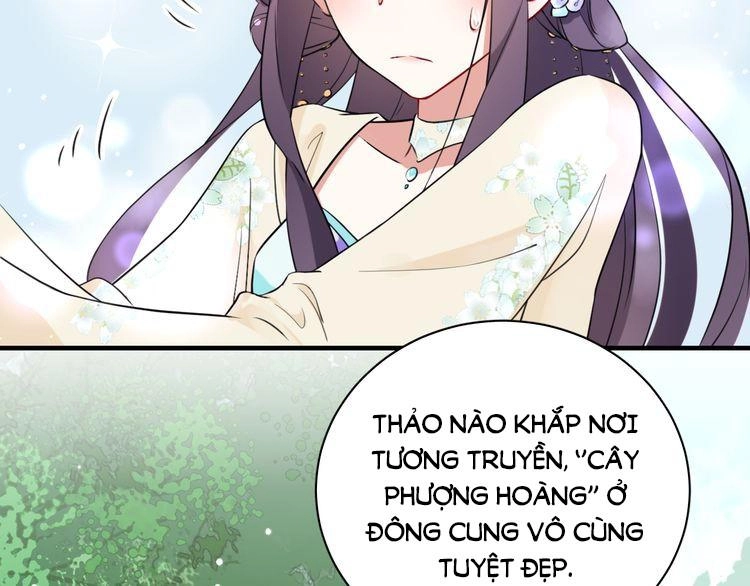 Hoa Nhan Sách Chapter 5.1 - 10