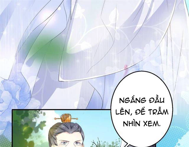 Hoa Nhan Sách Chapter 37.1 - 37