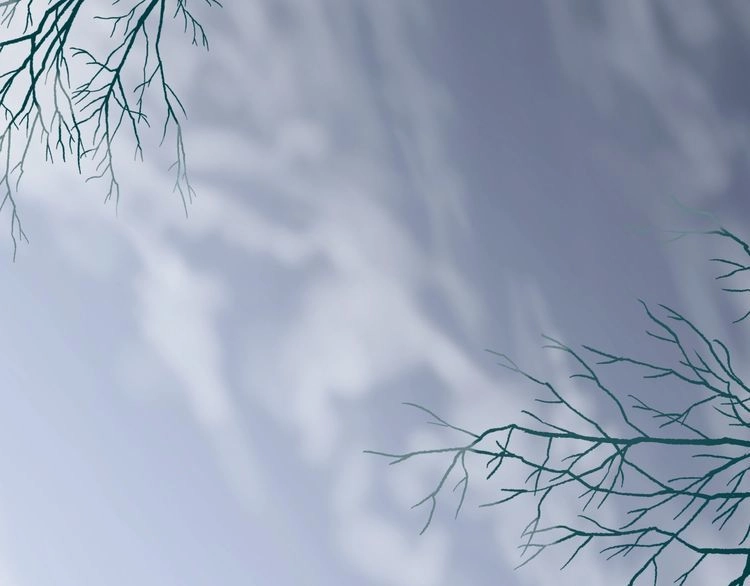 Hoa Nhan Sách Chapter 46.1 - 4