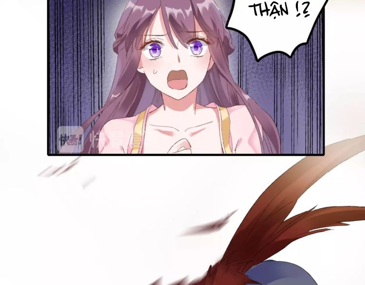 Hoa Nhan Sách Chapter 61.1 - 34