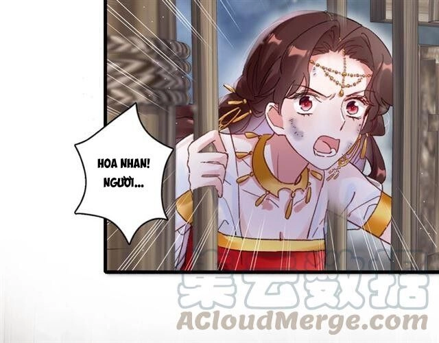 Hoa Nhan Sách Chapter 115 - 14