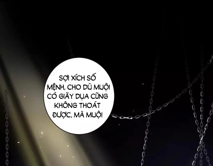 Hoa Nhan Sách Chapter 145 - 3