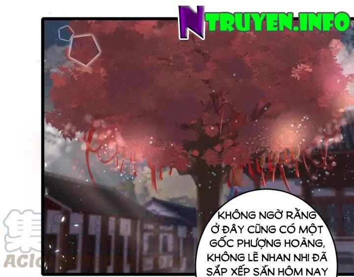 Hoa Nhan Sách Chapter 152 - 6