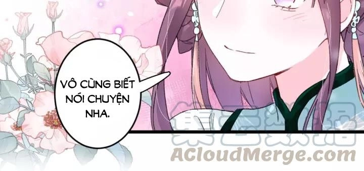 Hoa Nhan Sách Chapter 152 - 13