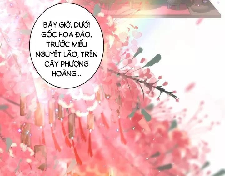 Hoa Nhan Sách Chapter 154 - 15