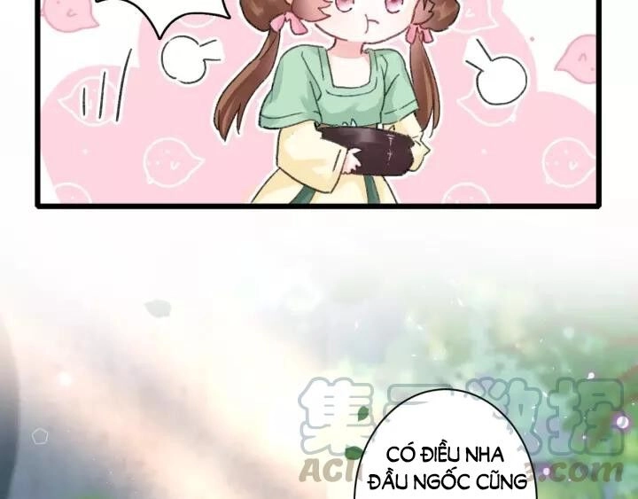 Hoa Nhan Sách Chapter 155 - 16