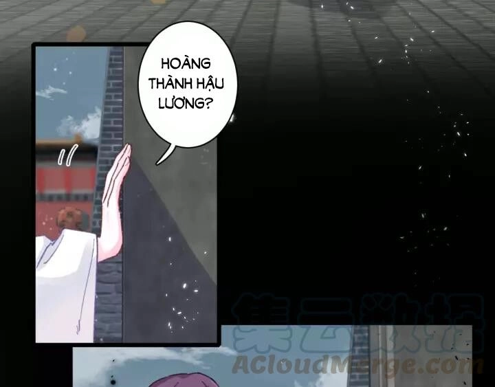 Hoa Nhan Sách Chapter 164 - 27