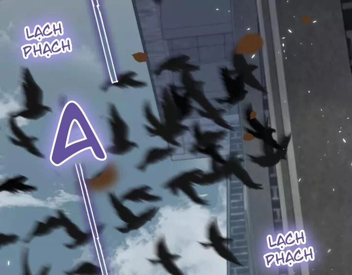 Hoa Nhan Sách Chapter 164 - 29