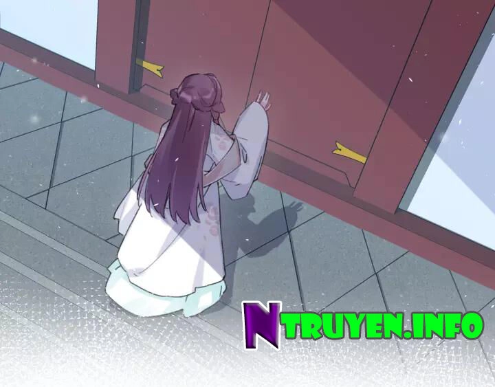 Hoa Nhan Sách Chapter 164 - 36