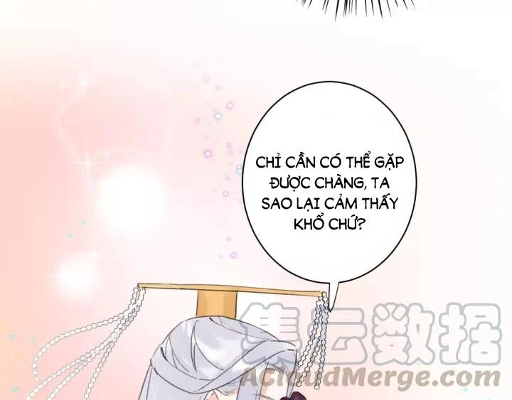 Hoa Nhan Sách Chapter 165 - 6