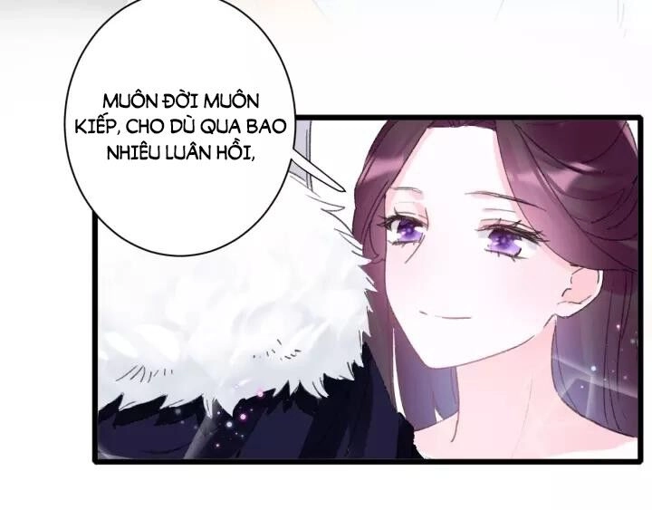 Hoa Nhan Sách Chapter 165 - 8