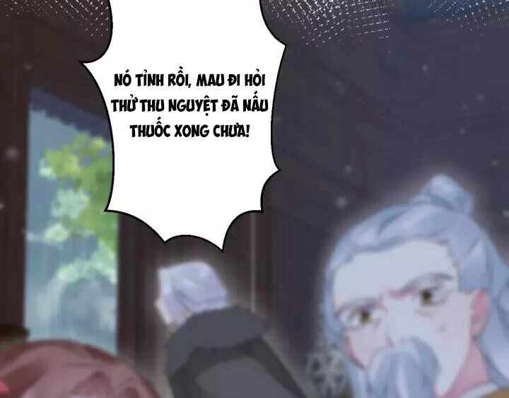 Hoa Nhan Sách Chapter 165 - 19