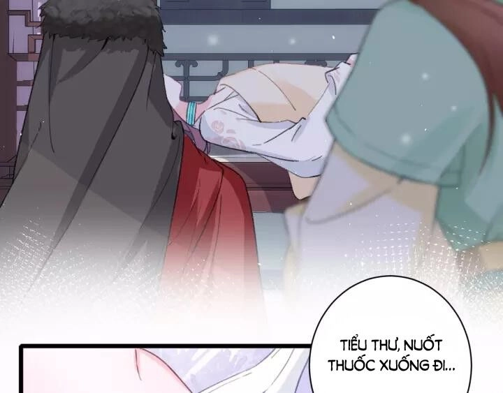 Hoa Nhan Sách Chapter 166 - 5