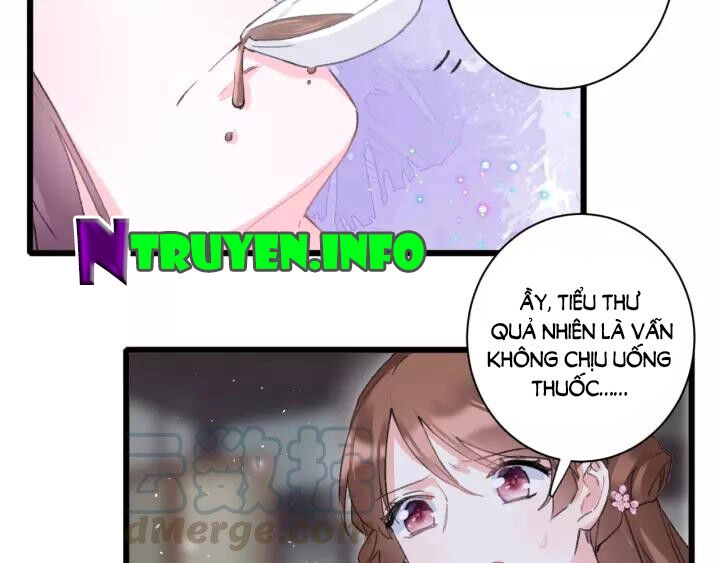 Hoa Nhan Sách Chapter 166 - 6