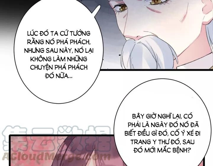 Hoa Nhan Sách Chapter 166 - 41