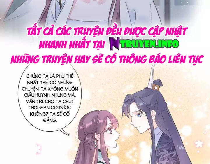 Hoa Nhan Sách Chapter 167 - 35