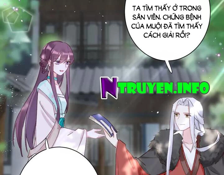 Hoa Nhan Sách Chapter 171 - 17