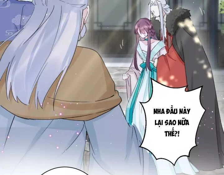 Hoa Nhan Sách Chapter 172 - 4