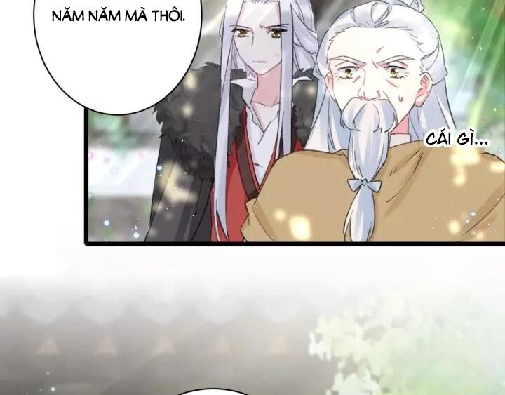 Hoa Nhan Sách Chapter 172 - 18
