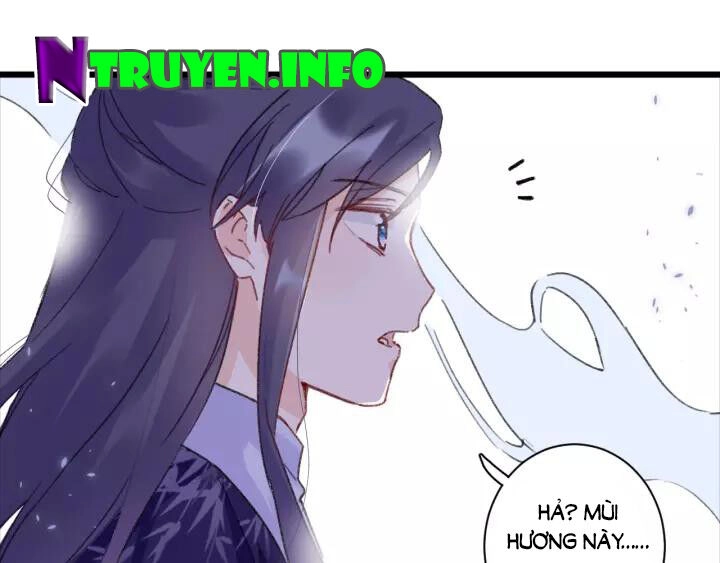 Hoa Nhan Sách Chapter 173 - 24