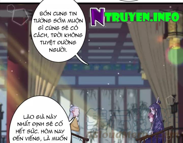 Hoa Nhan Sách Chapter 177 - 6