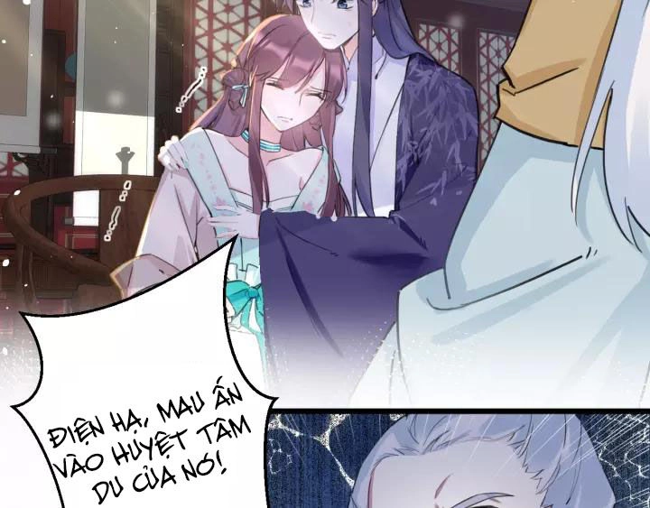 Hoa Nhan Sách Chapter 178 - 7