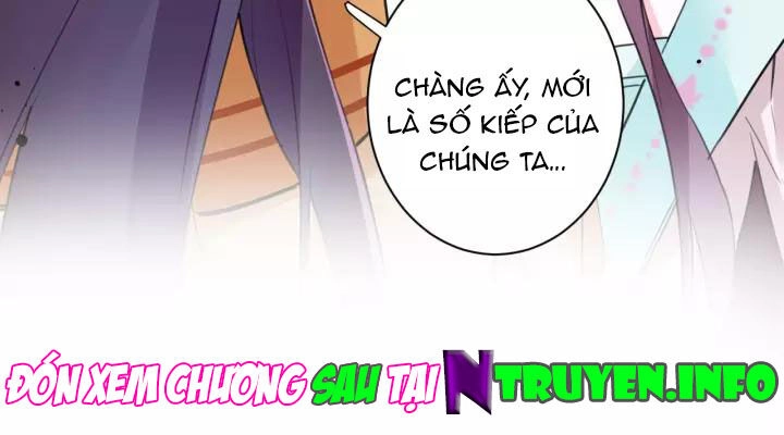 Hoa Nhan Sách Chapter 178 - 33