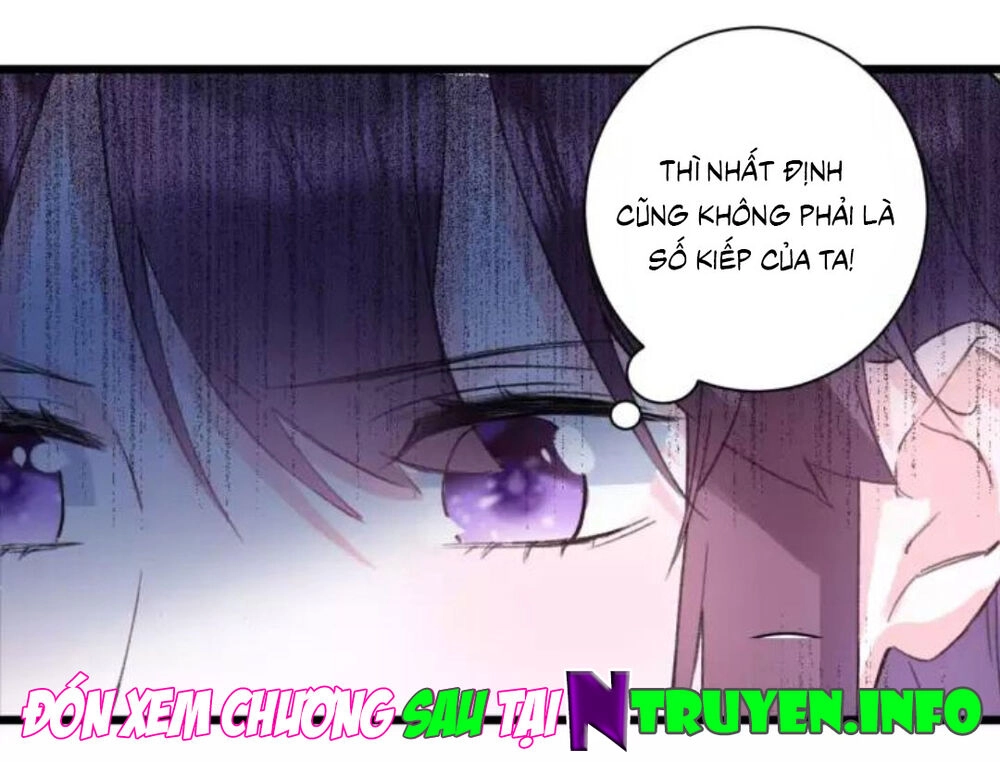 Hoa Nhan Sách Chapter 180 - 35