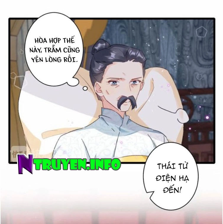 Hoa Nhan Sách Chapter 188 - 6