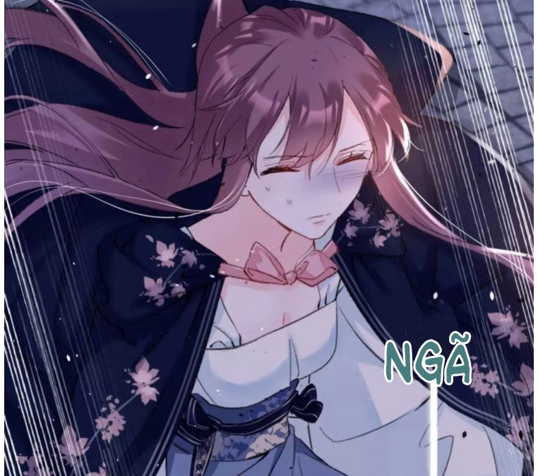 Hoa Nhan Sách Chapter 195 - 29