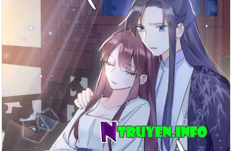 Hoa Nhan Sách Chapter 196 - 8