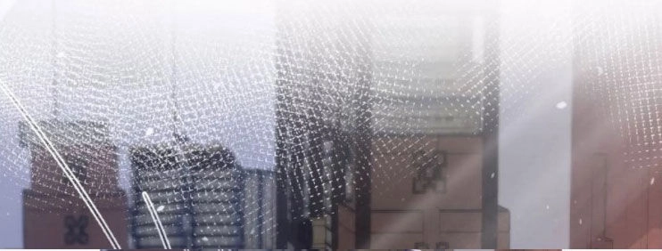 Hoa Nhan Sách Chapter 199 - 22