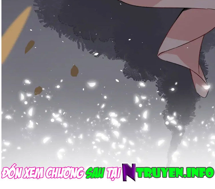 Hoa Nhan Sách Chapter 204 - 38