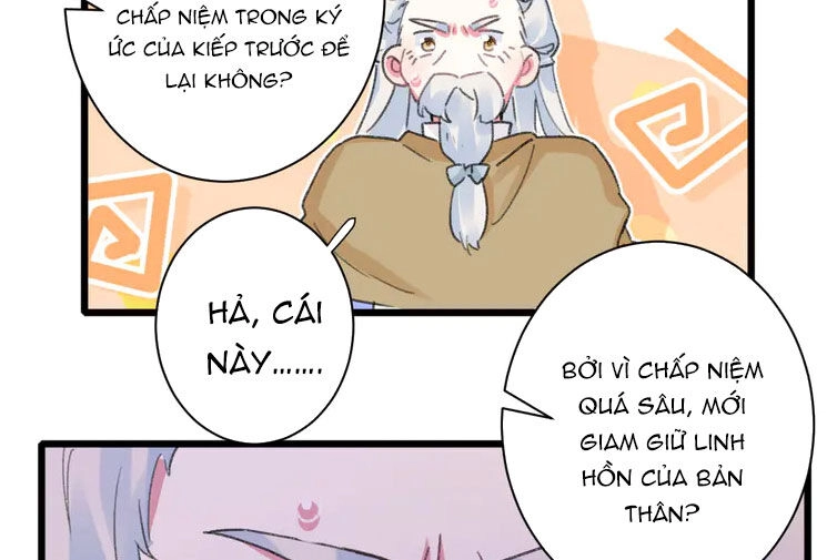 Hoa Nhan Sách Chapter 206 - 15