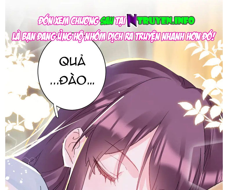 Hoa Nhan Sách Chapter 208 - 27